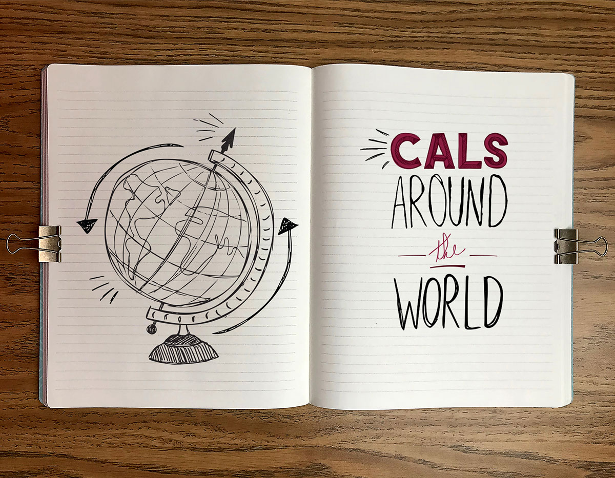 CALS around the world