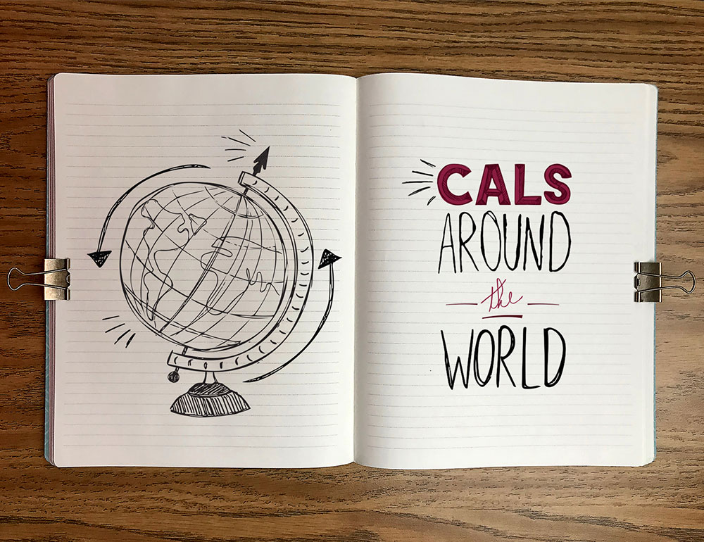 CALS around the world