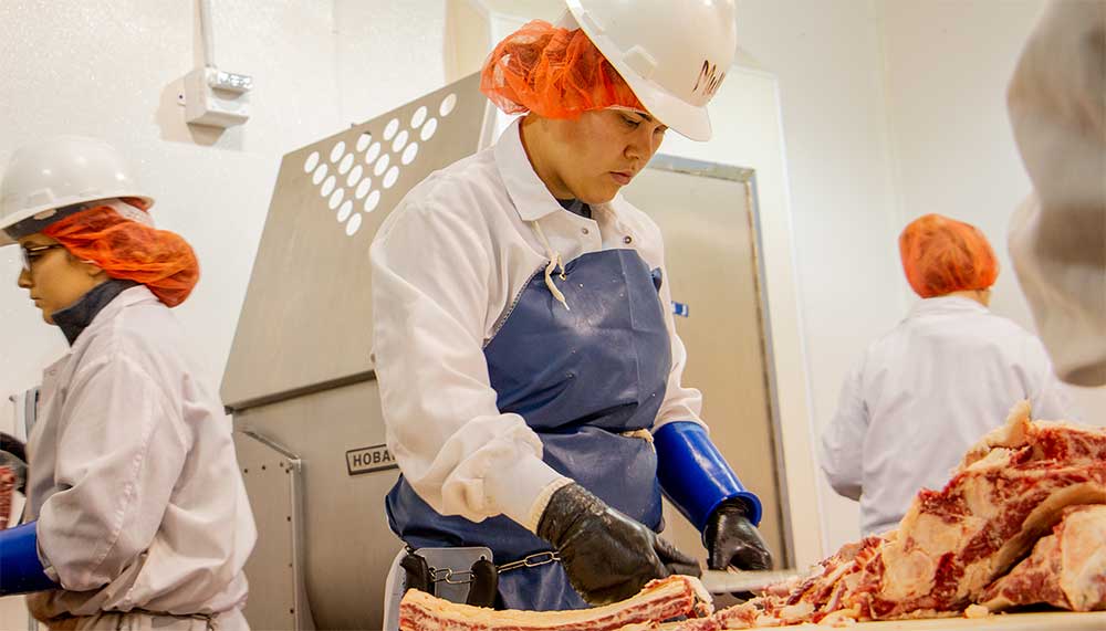 Virginia Tech students working in CALS's Meat Center