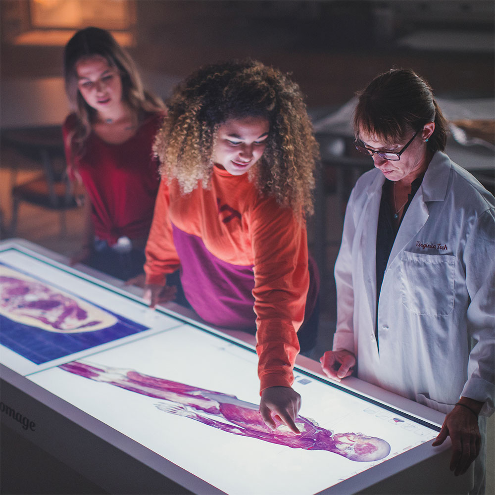 Virginia Tech students and professor using anatomage table