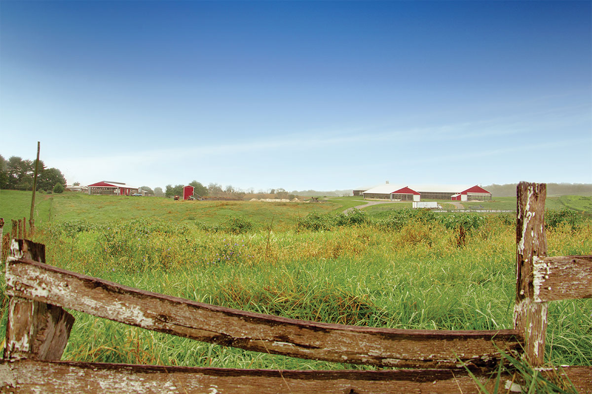 Hillside Farm