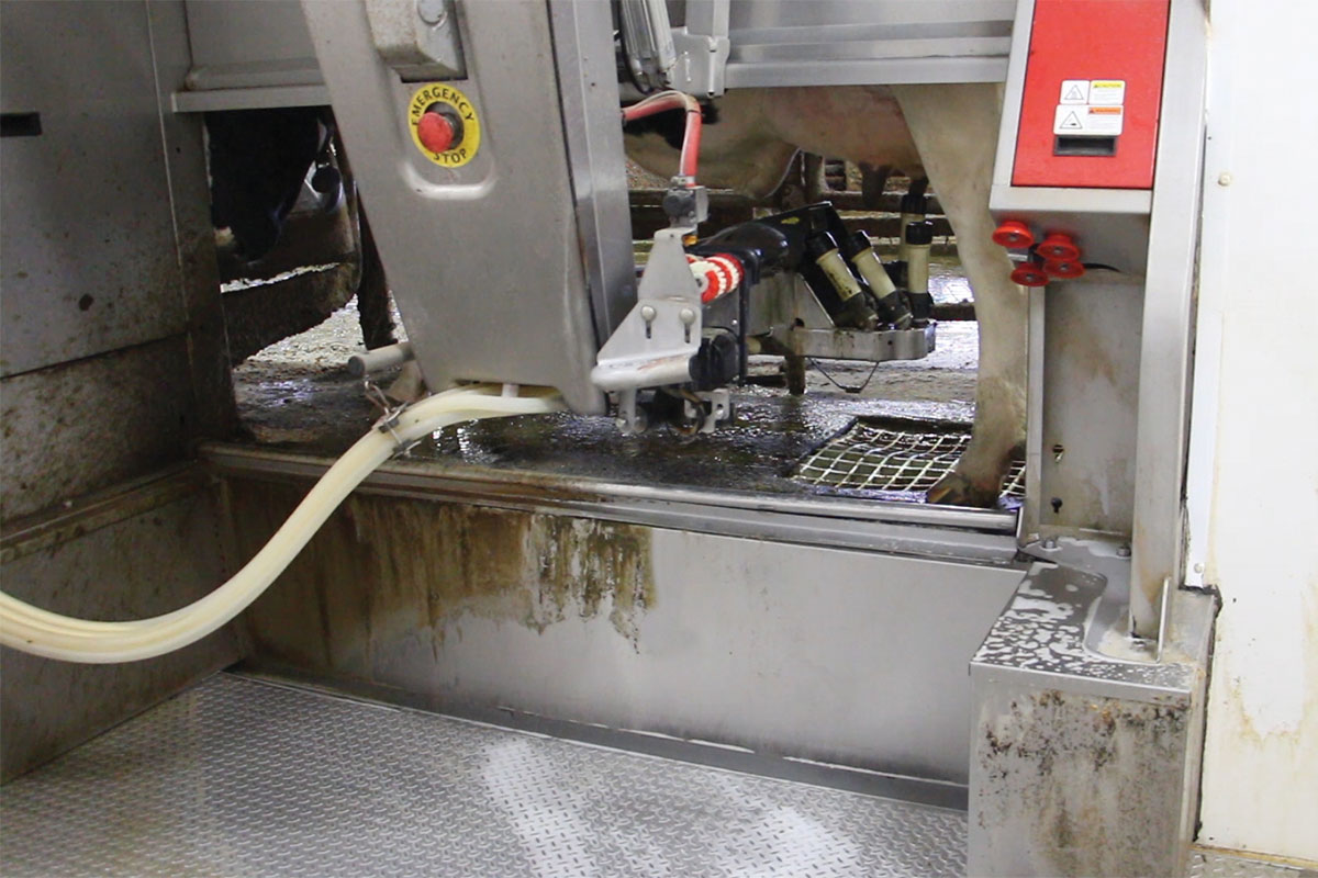 Robotic milking system at Hillside Farm