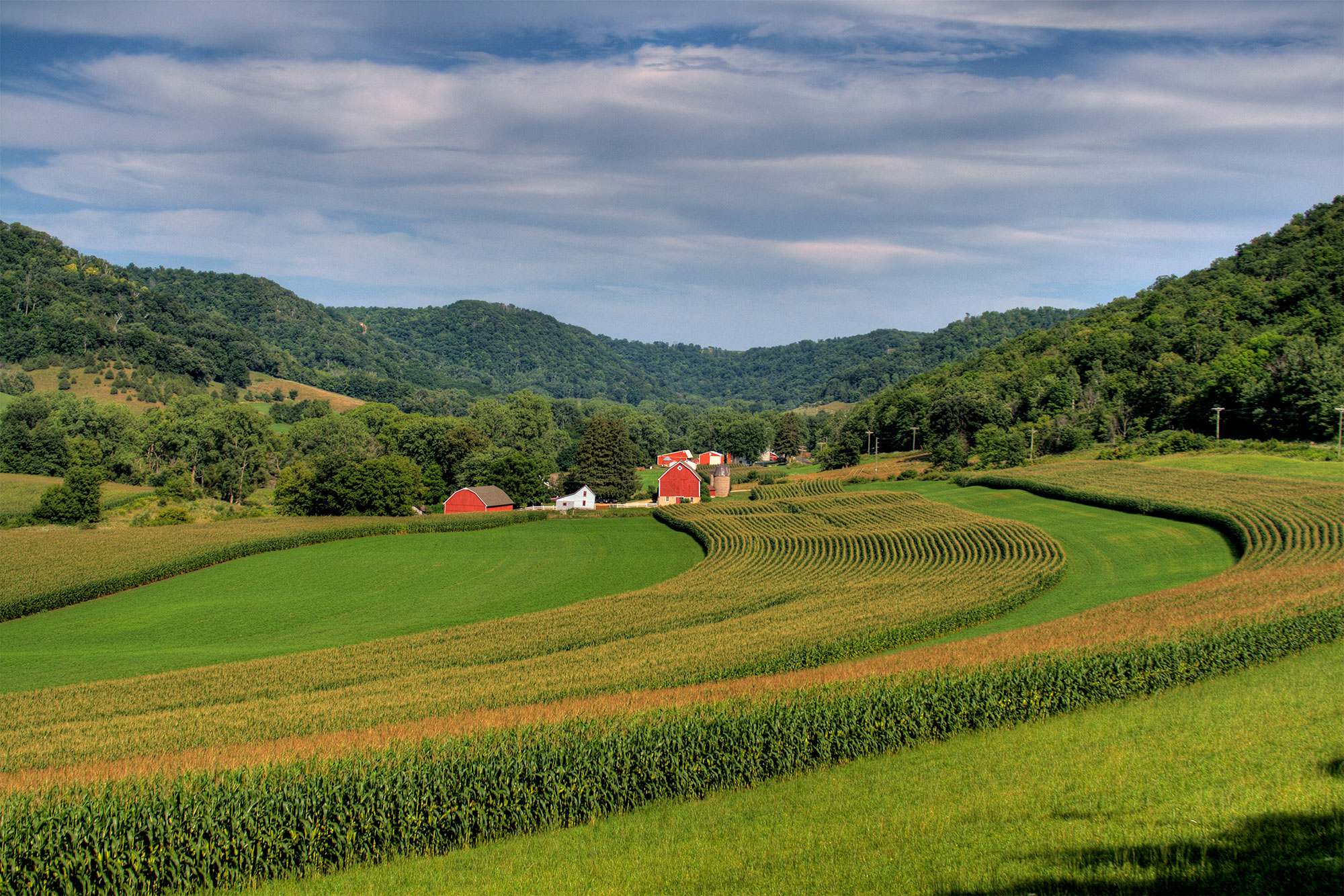 farmland