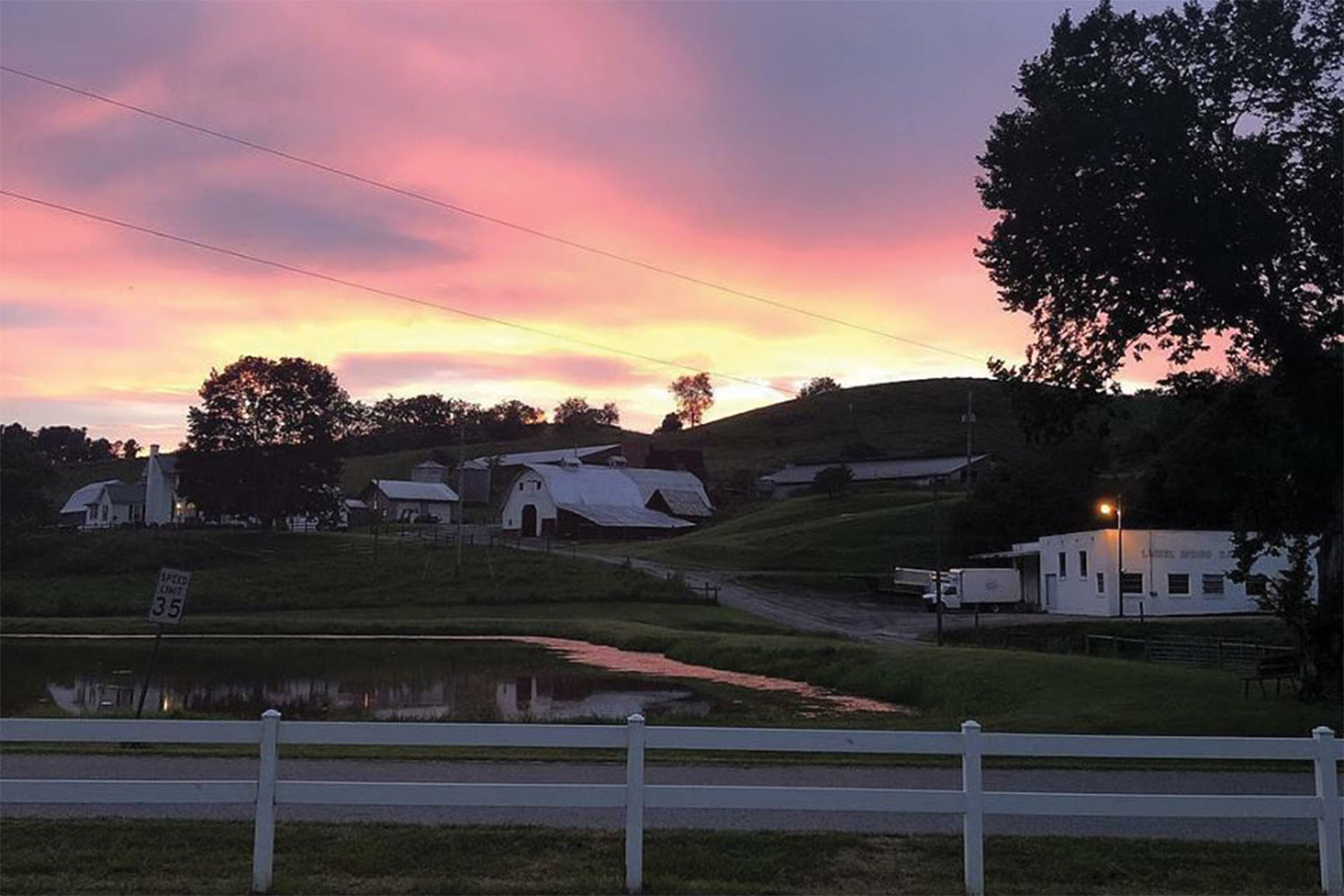 Laurel Springs Farm