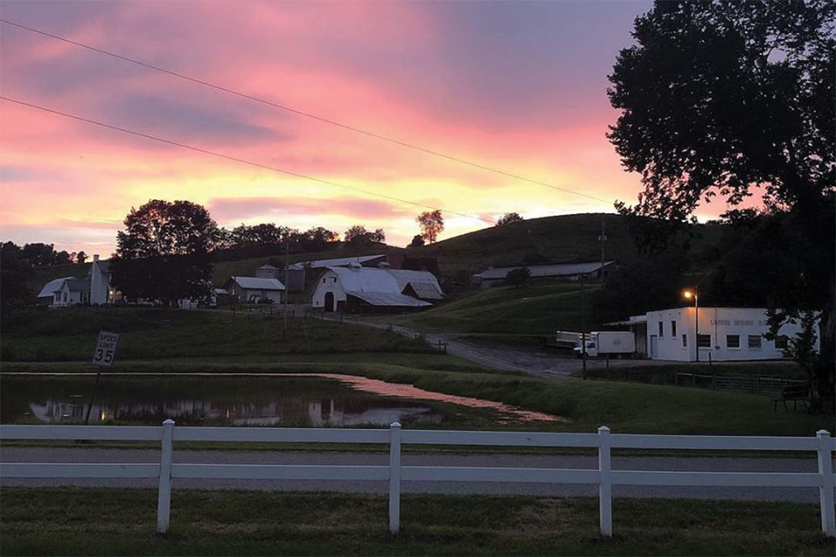 Laurel Springs Farm