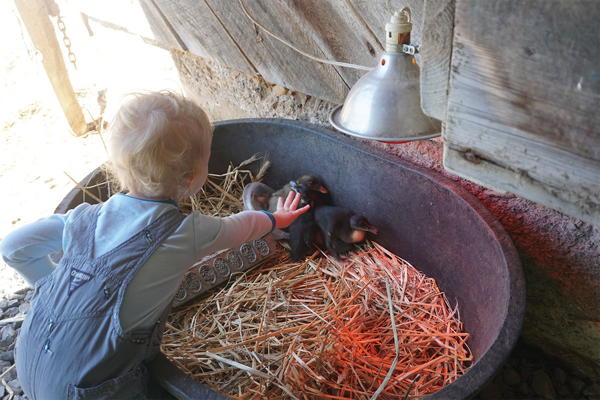 Umbarger child at Laurel Springs Farm