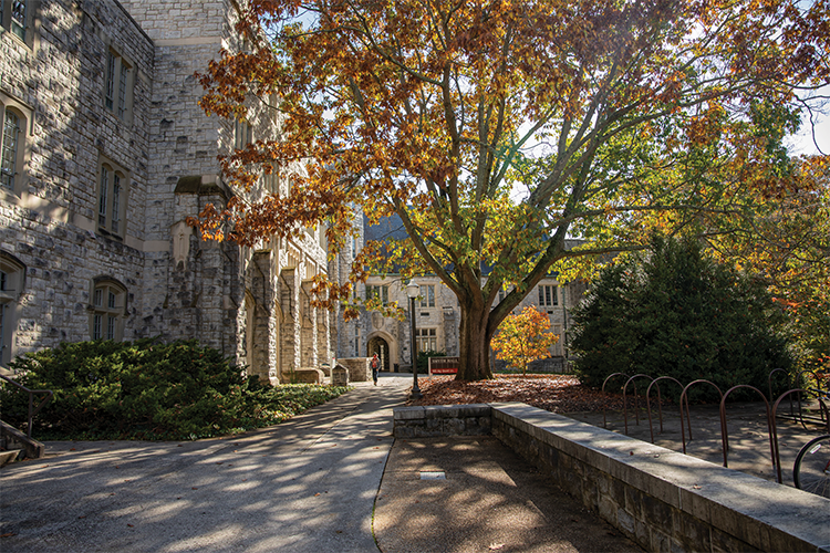 Image of the Ag Quad