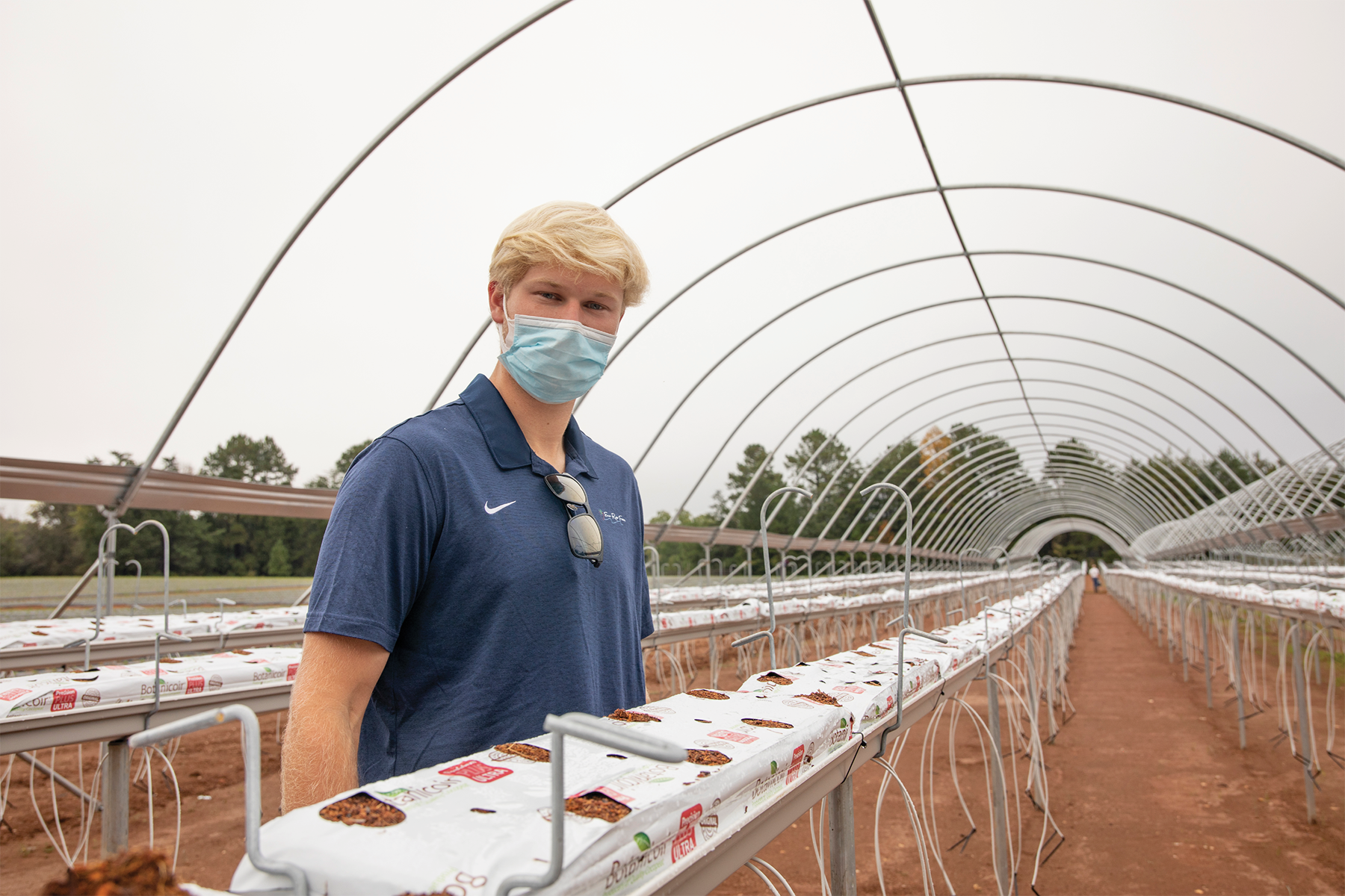 Image of Keegan Czesak in his hydroponic strawberry field