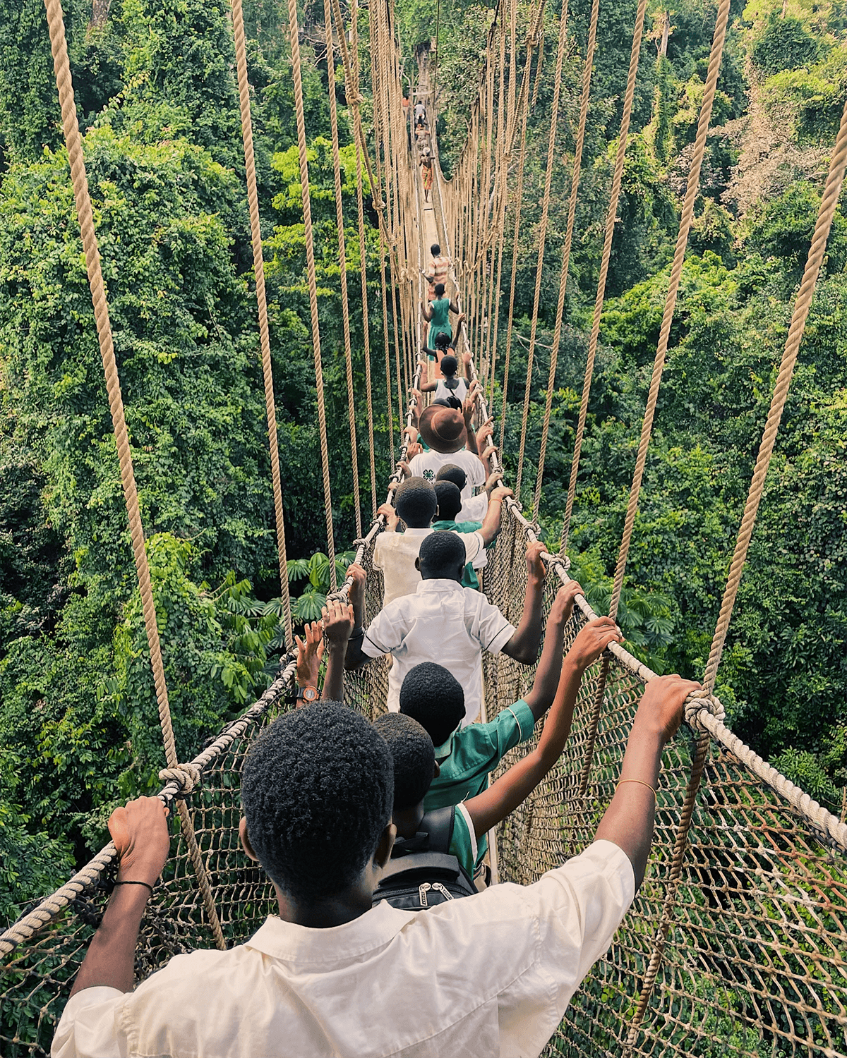 Line of students walking across a rope bridge